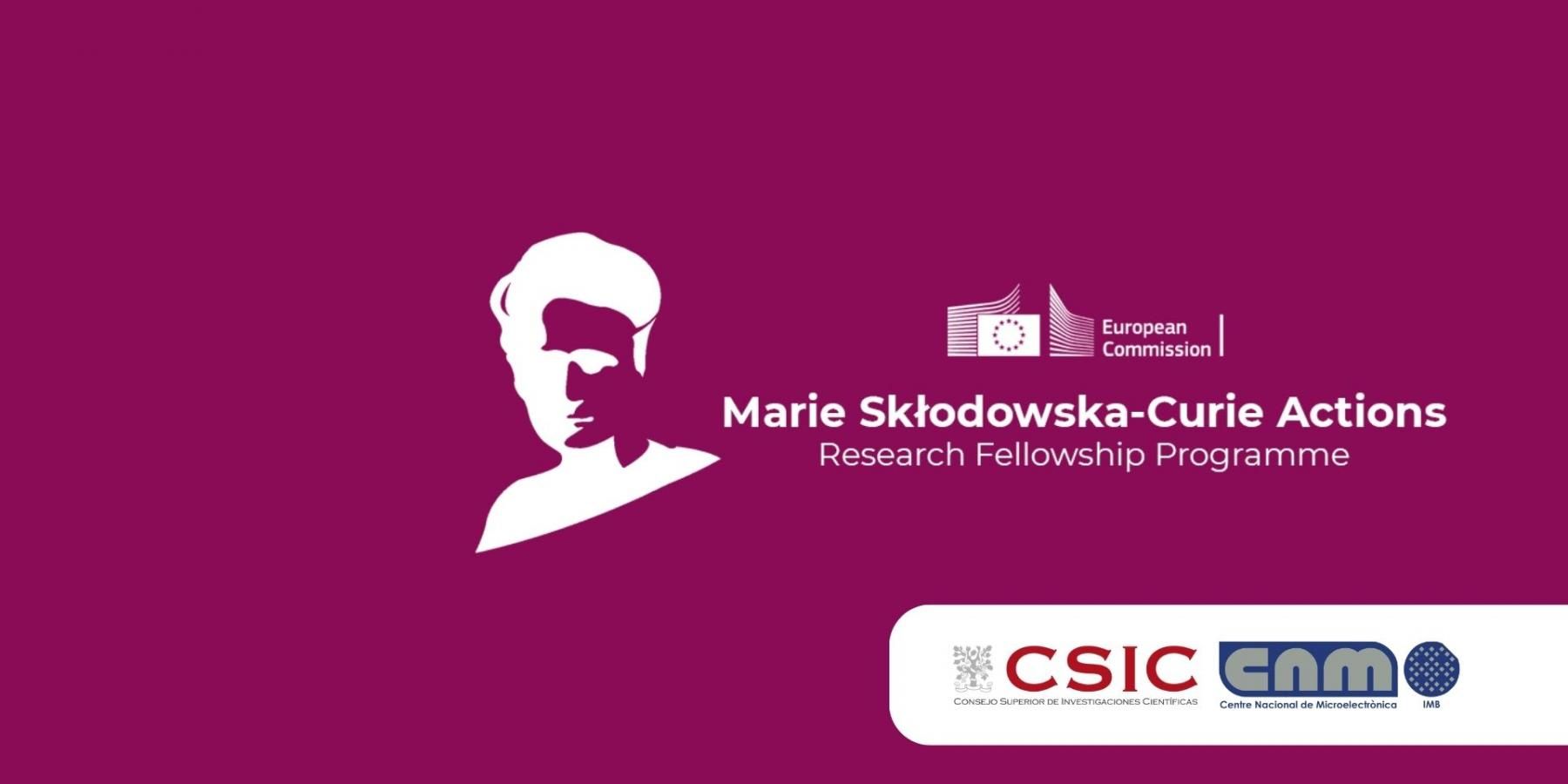 Marie Skłodowska-Curie Fellowship Opportunities