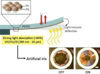 Ultrabroadband light absorbing Fe/polymer flexible metamaterial for soft opto-mechanical devices