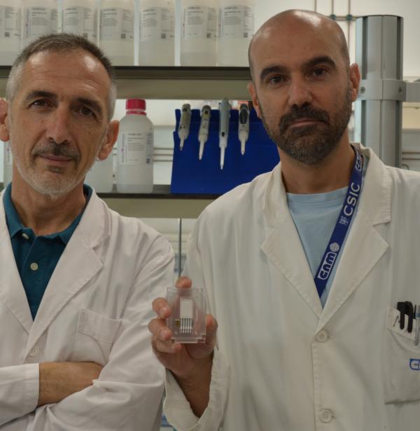 Los investigadores César Fernández-Sánchez y Manuel Gutiérrez-Capitán posan en el laboratorio con el dispositivo de papel para detección de enfermedades pulmonares